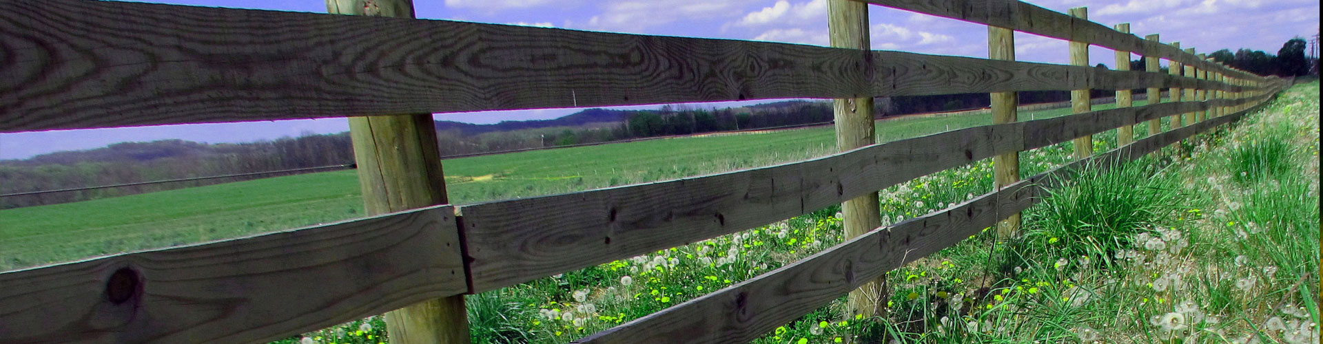 Postsaver Stoneburner